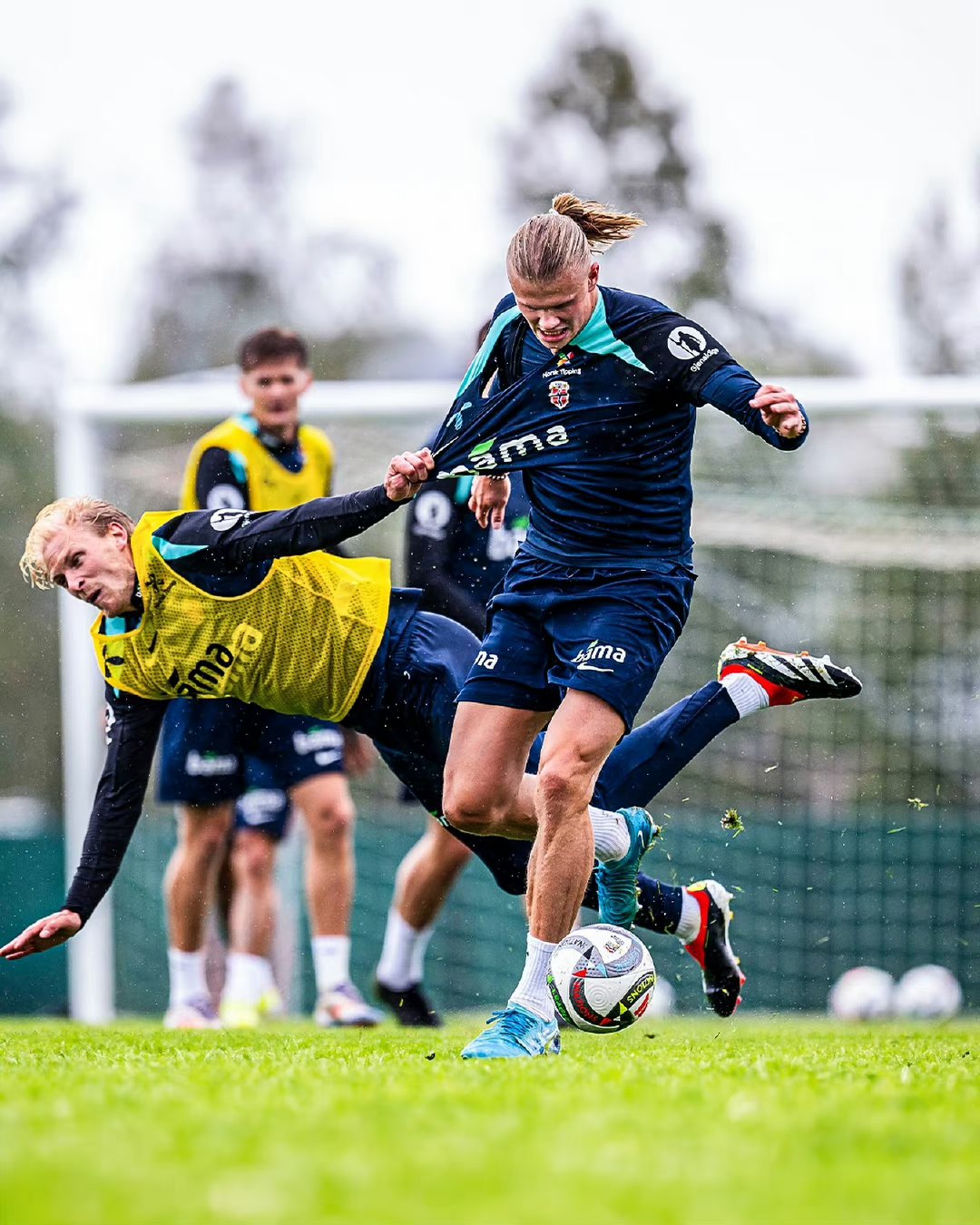 九游(中国)-着重球员表现出色,球队士气高涨什么意思