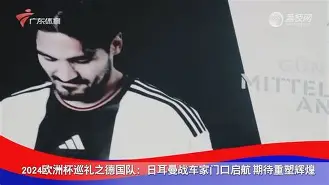 波兰对瑞典首发